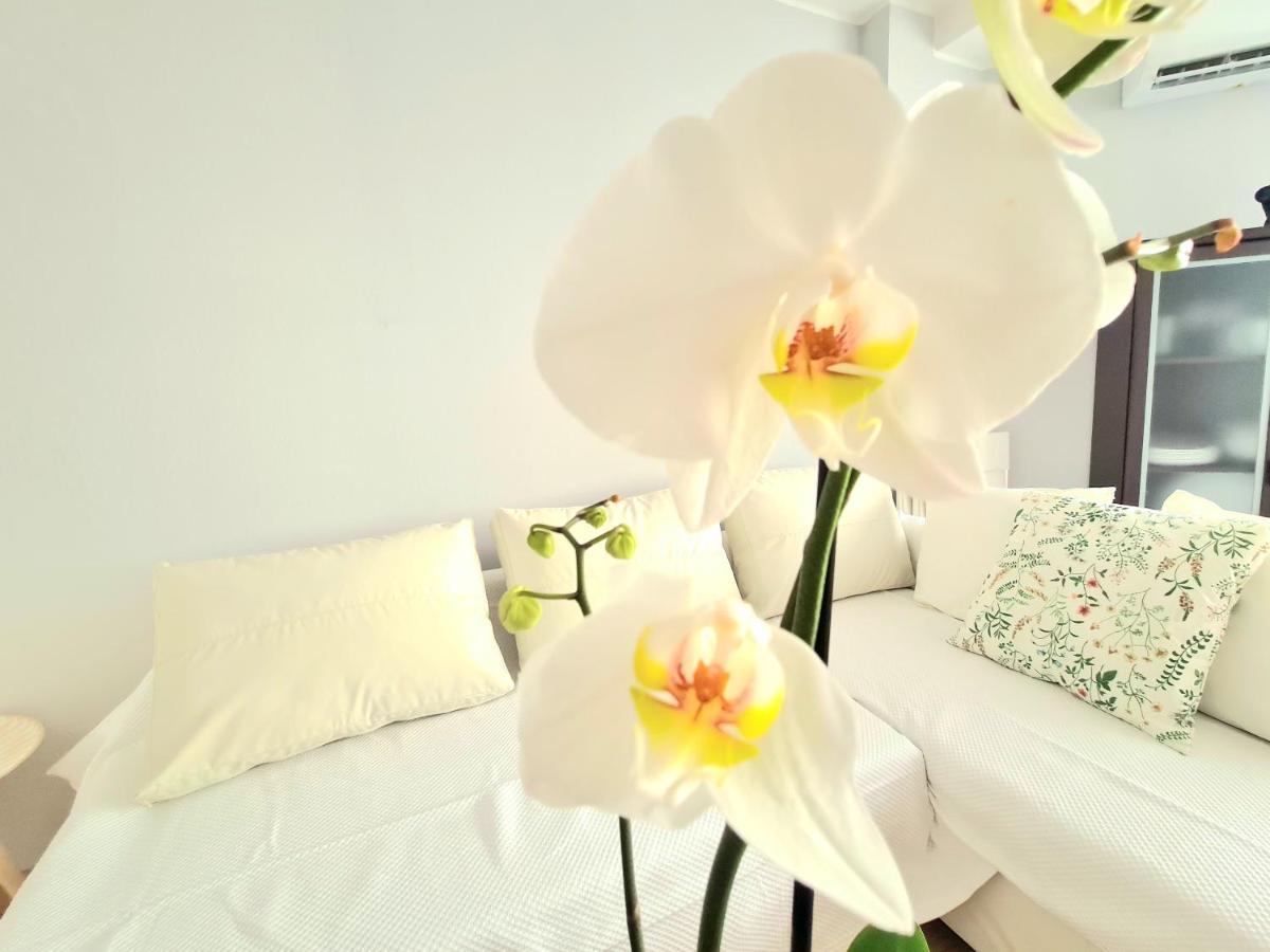 Aa Guest - El Mono De Torre Del Mar Eco Apartment Exterior photo