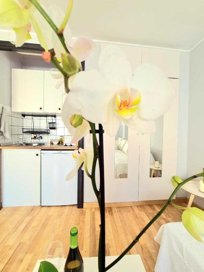 Aa Guest - El Mono De Torre Del Mar Eco Apartment Exterior photo