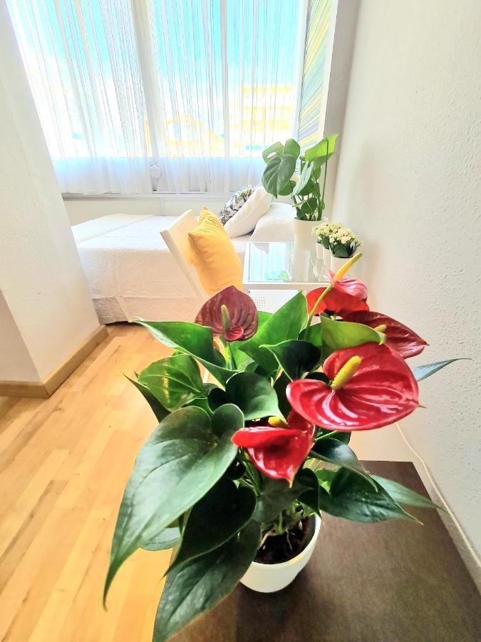 Aa Guest - El Mono De Torre Del Mar Eco Apartment Exterior photo